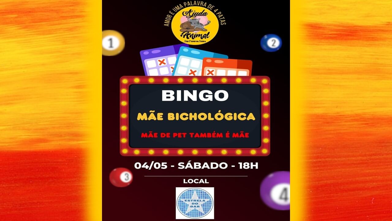BINGO ESTRELA