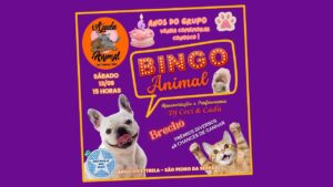 BINGO ANIMAL 13/09/2025